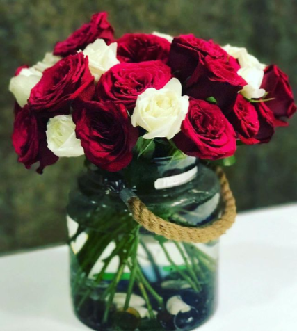 Rosas rojas y blancas - Rosesland