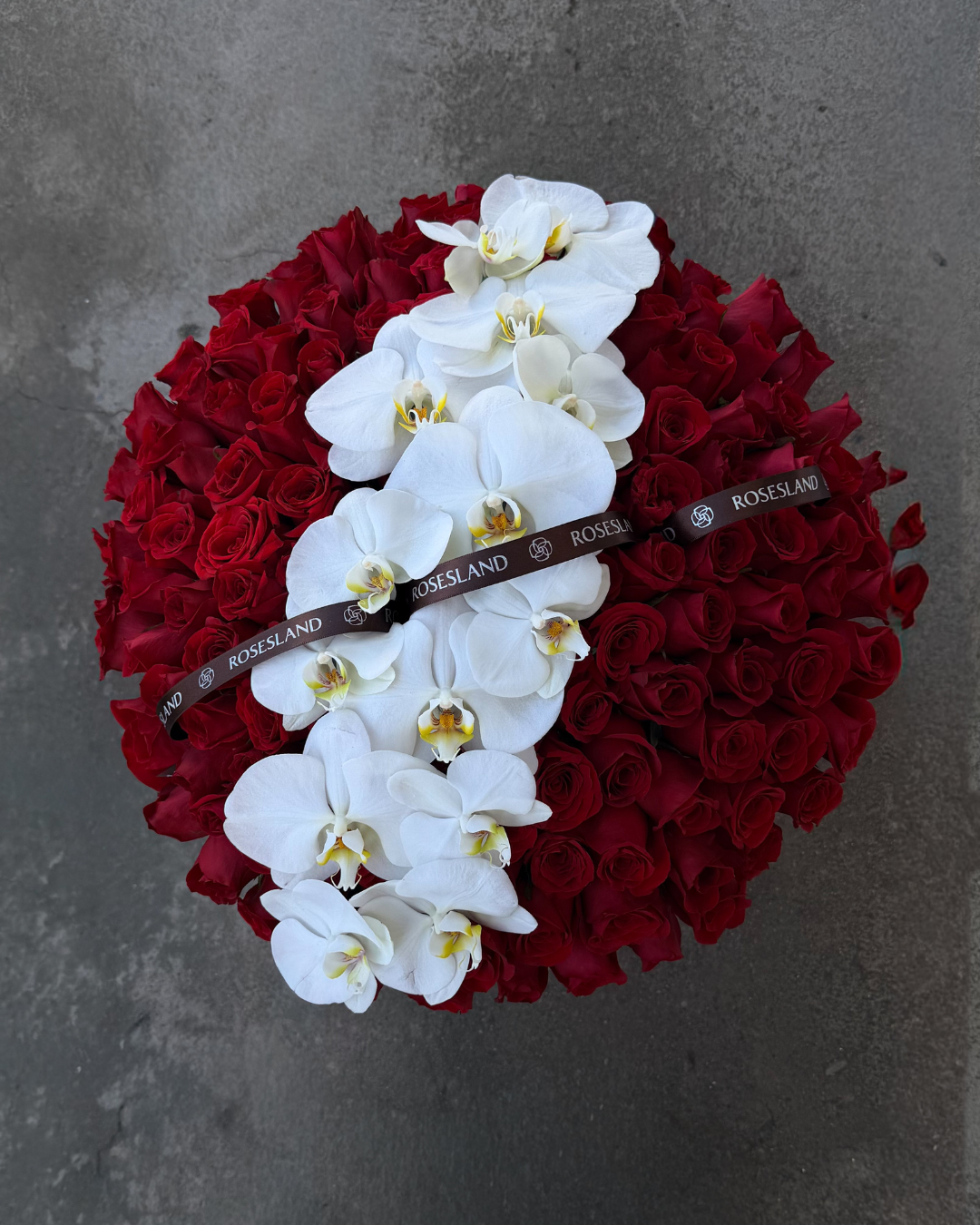ROSAS & ORQUIDEAS