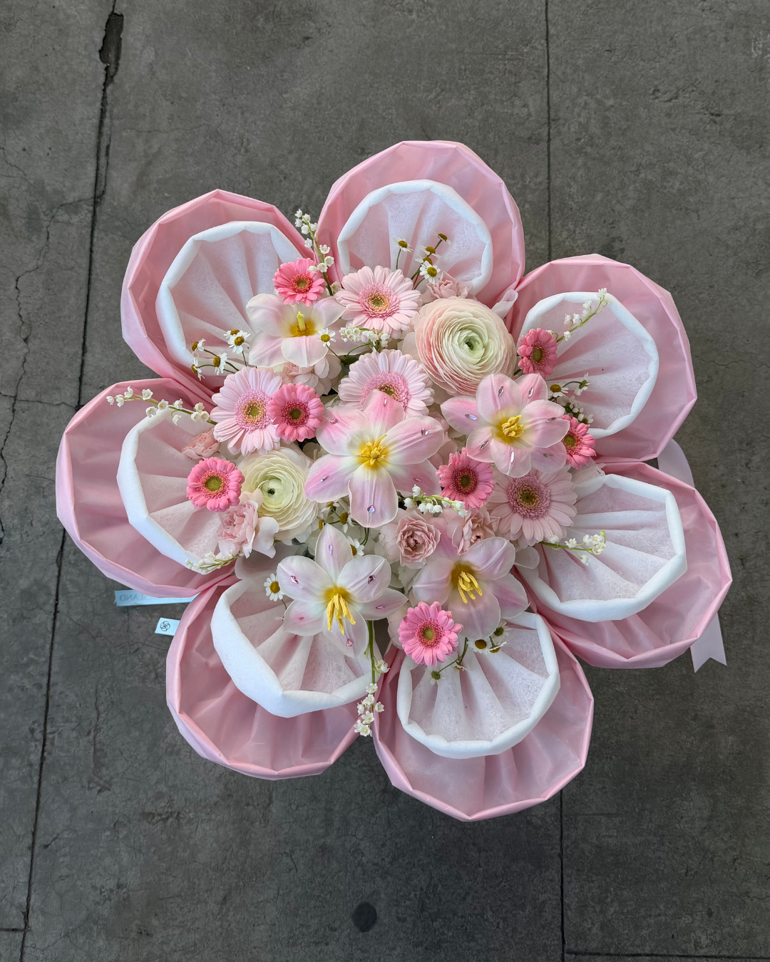 BLOOM